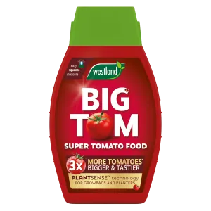 Big Tom Tomato Food 1ltr