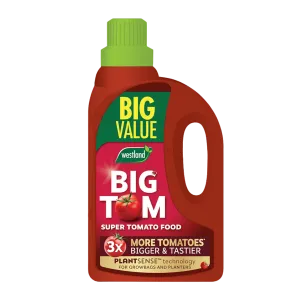 Big Tom Tomato Food 2ltr