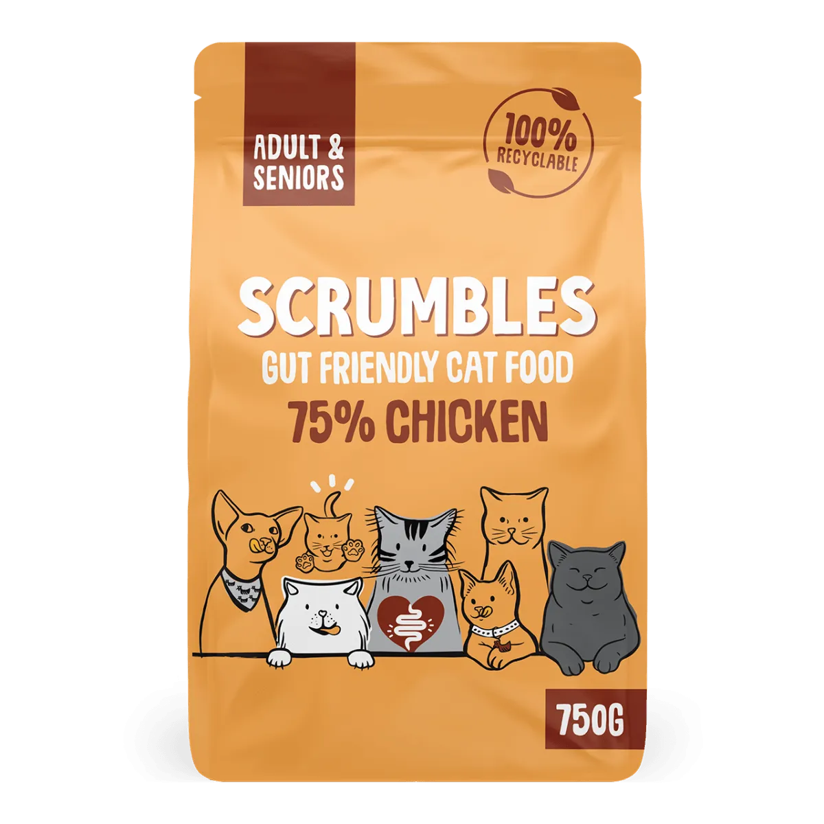 Chicken Dry Cat Food