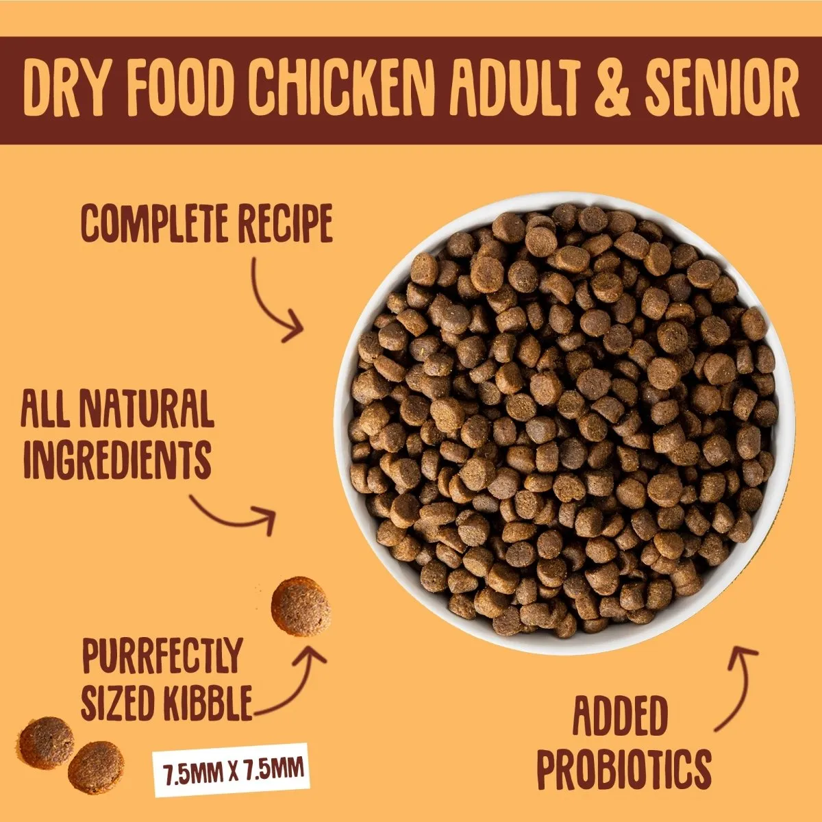 Chicken Dry Cat Food