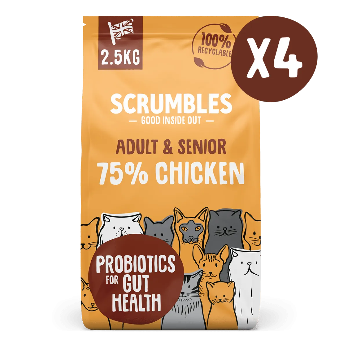 Chicken Dry Cat Food