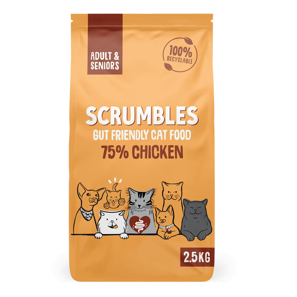 Chicken Dry Cat Food