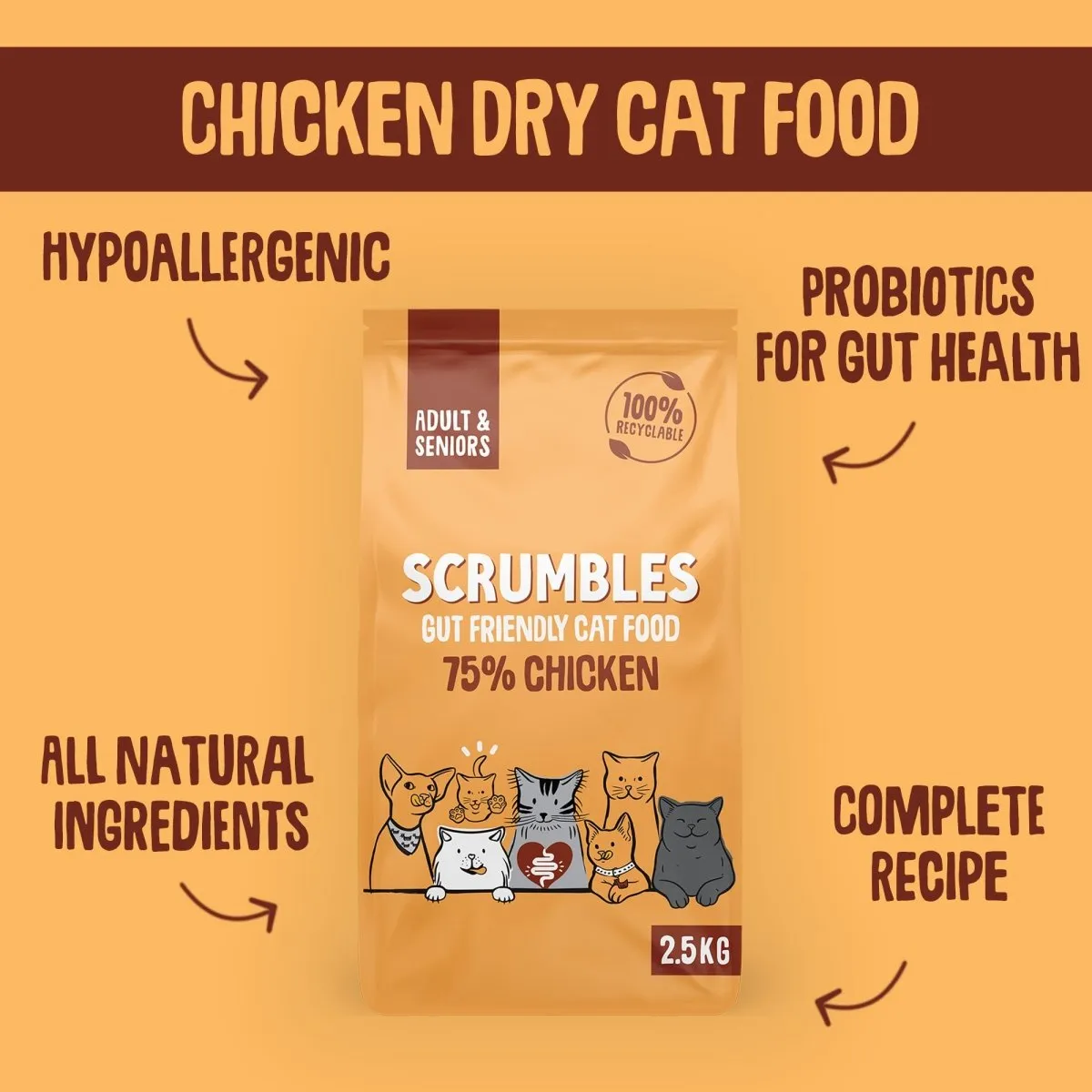 Chicken Dry Cat Food