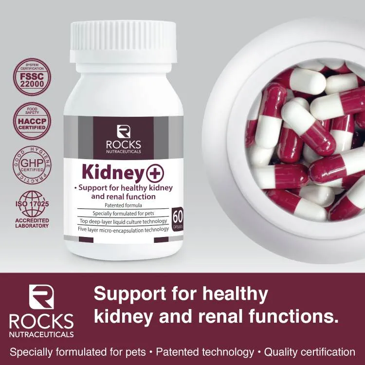 *CHILLED* Rocks Nutraceuticals Kidney  60caps