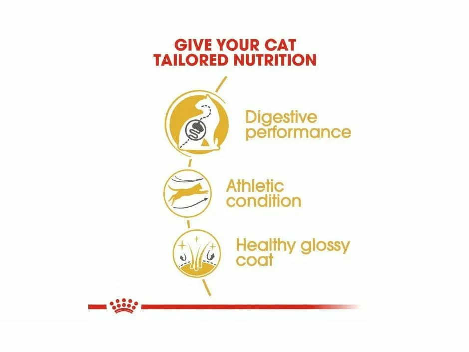 Feline Breed Nutrition Bengal Adult 2 KG