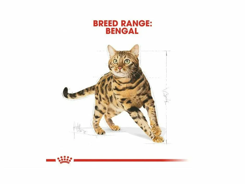 Feline Breed Nutrition Bengal Adult 2 KG