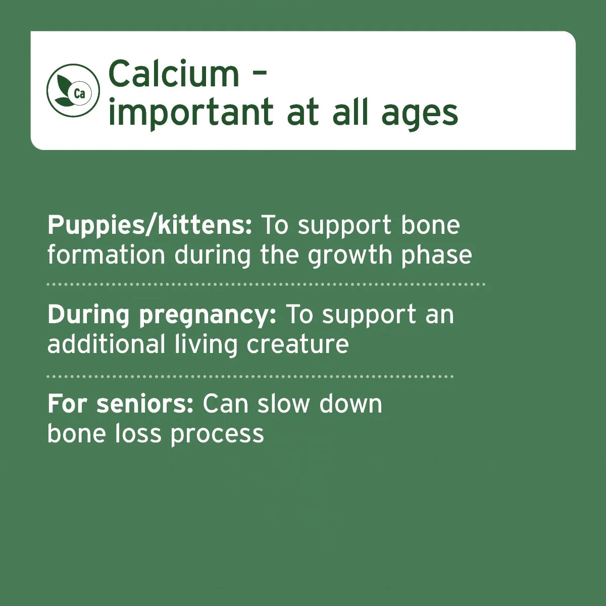 Ground Horse Bones - Natural Calcium Supplement for Dogs & Cats