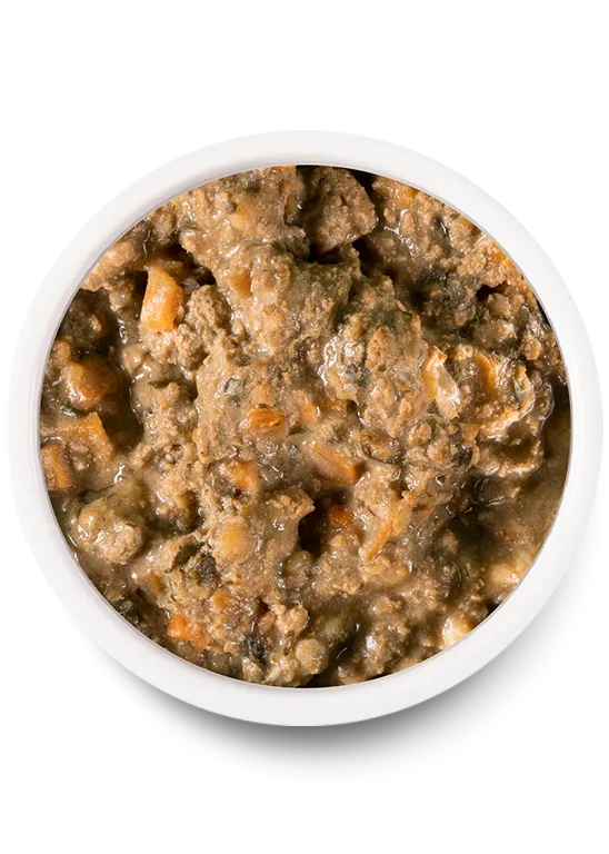 Homestead Turkey Rustic Stew Wet Dog Food