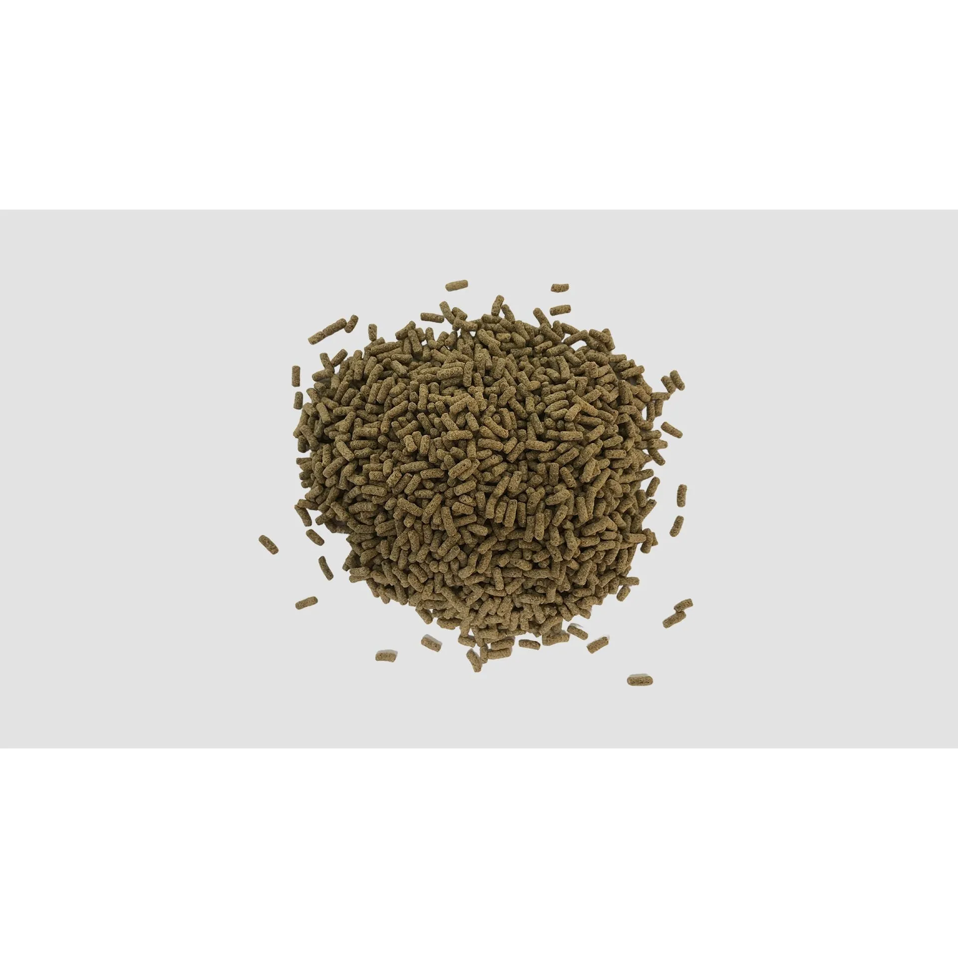 Minibeasts Insect in a Pellet Blue Tongue 125g