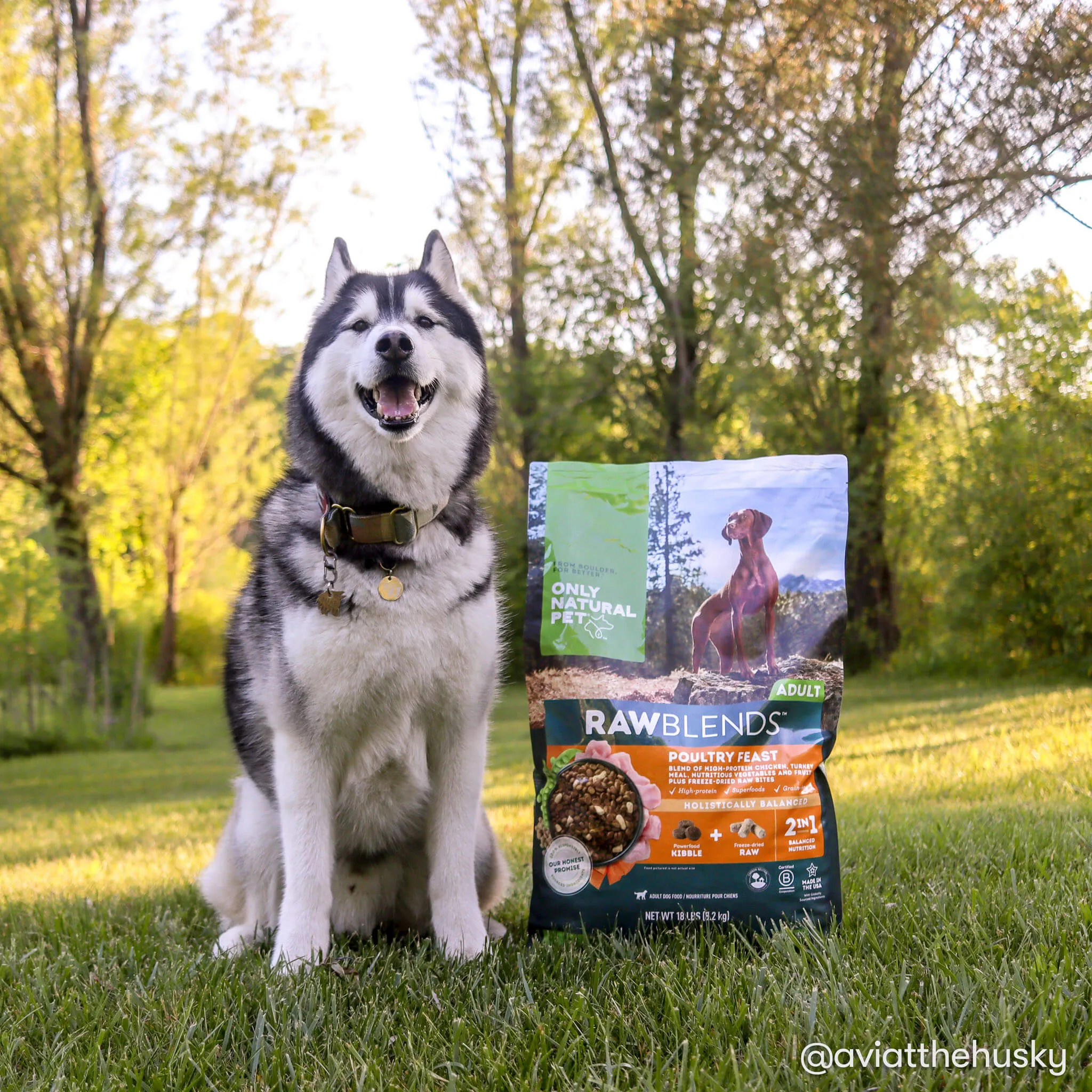 Only Natural Pet Raw Blends Chicken and Poultry Feast Raw Grain Free Dog Food