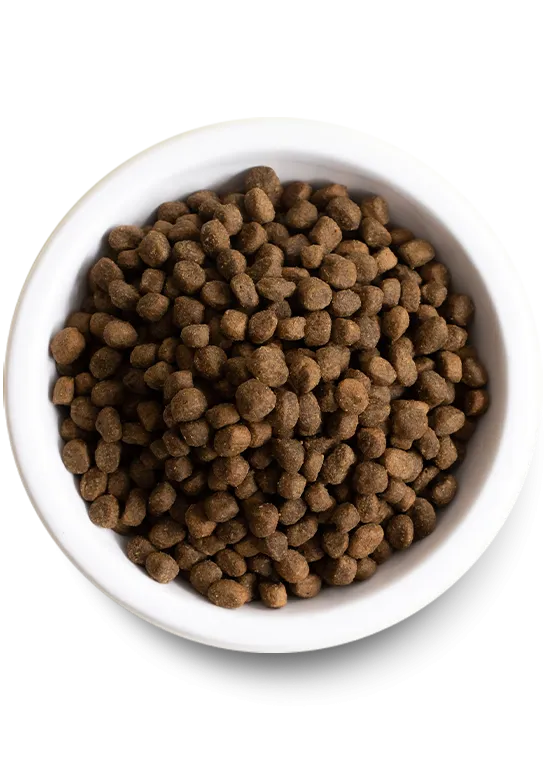 Open Farm Grass-Fed Beef Dry Dog Food