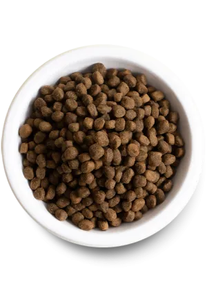 Open Farm Grass-Fed Beef Dry Dog Food