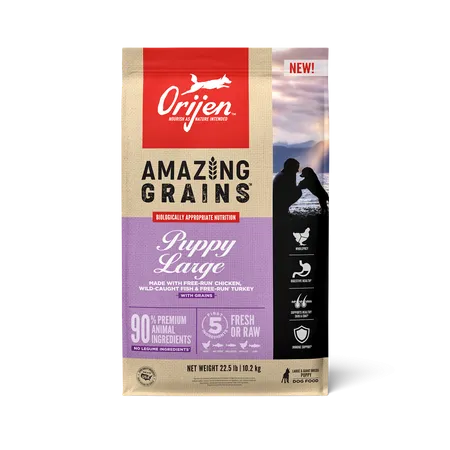 ORIJEN Amazing Grains Puppy Large High Protein Dry Dog Food