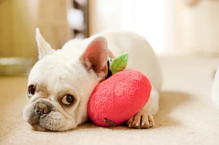 P.L.A.Y. Garden Fresh Apple Fall Toy for Dogs