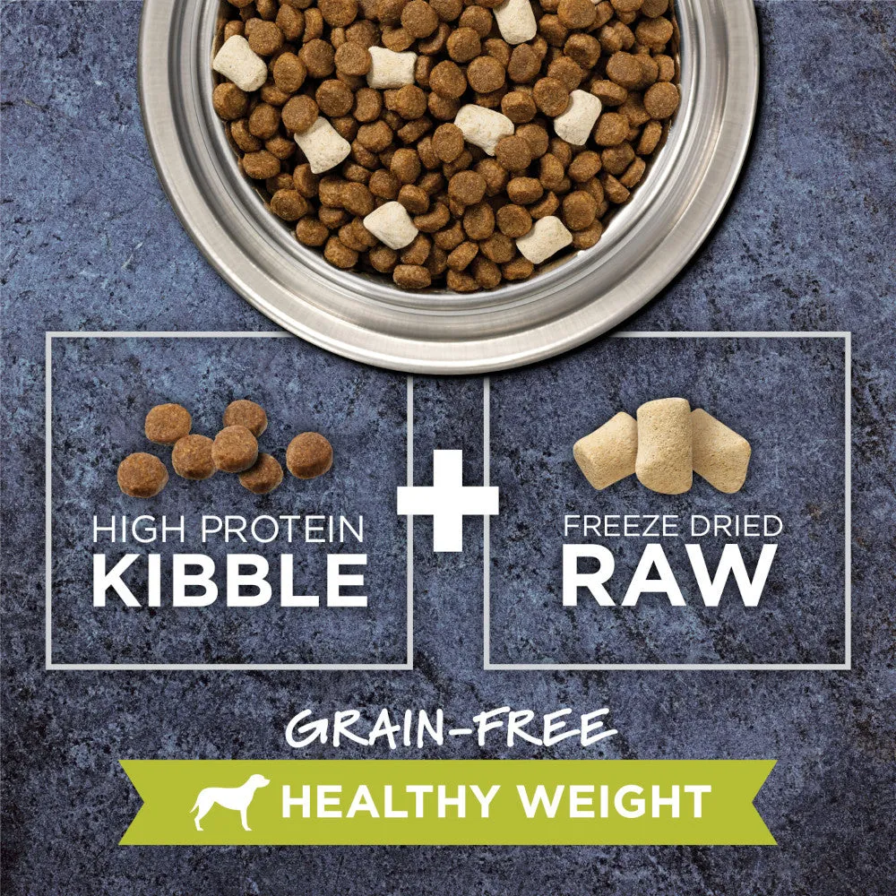 Raw Boost Healthy Weight Grain Free Kibble   Raw Adult Dog Dry Food - Chicken