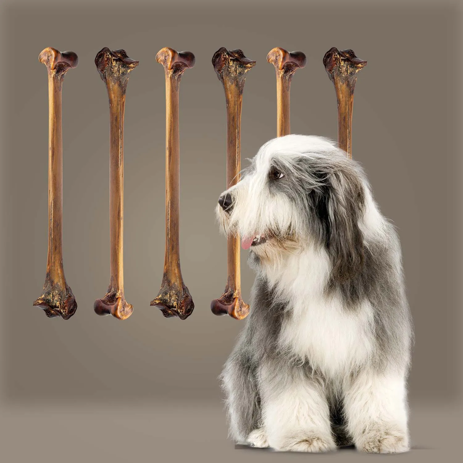 Roam Dog Treats Forever Bone, Ostrich Bone