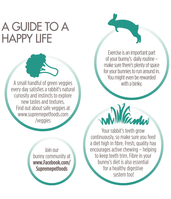 Science Selective Adult Rabbit Food