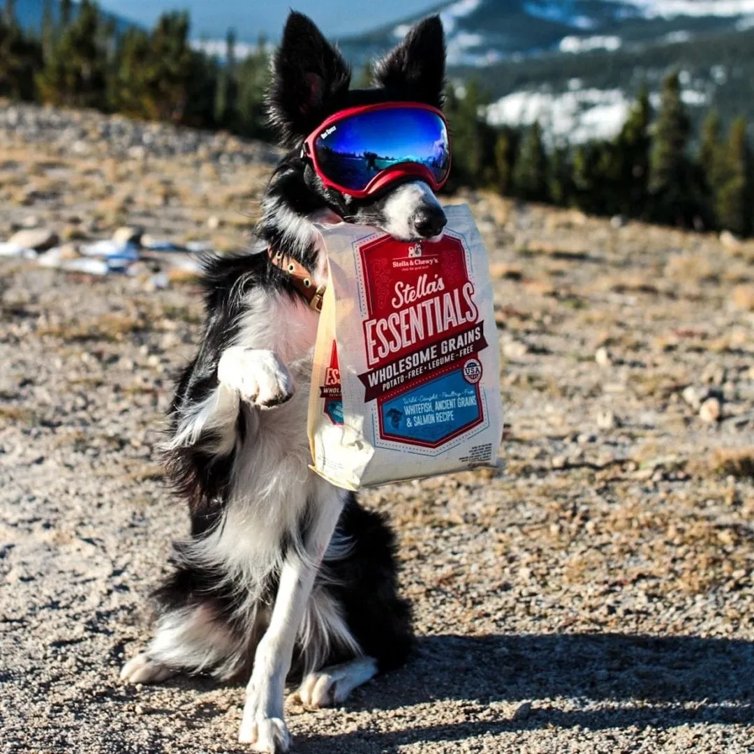 Stella & Chewy's Essentials Wild Caught Whitefish w/Salmon & Ancient Grains Recipe Dog Food