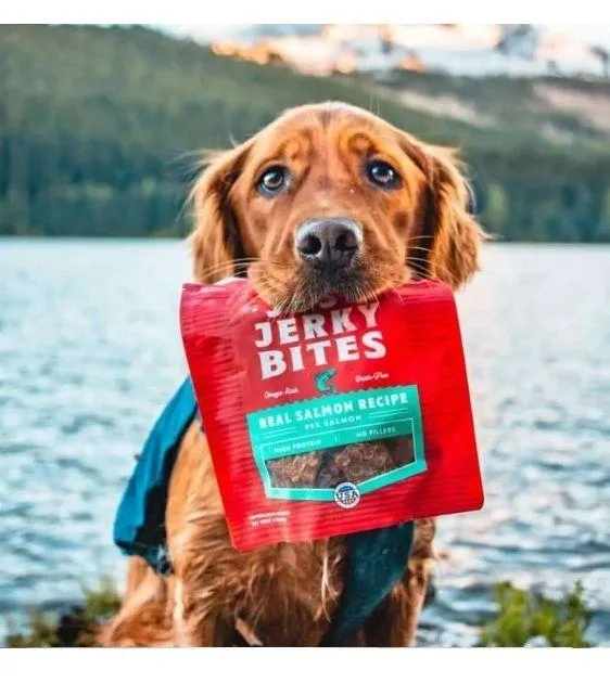 Stella & Chewy's Just Jerky Bites (Salmon) Dog Treats