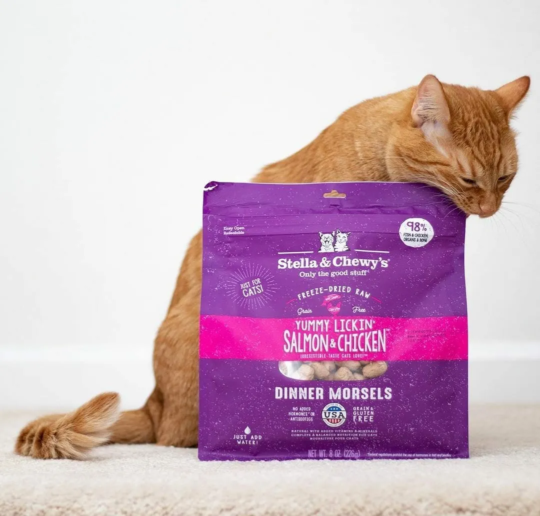 Stella & Chewy's Yummy Lickin' Salmon & Chicken Dinner Freeze-Dried Cat Food