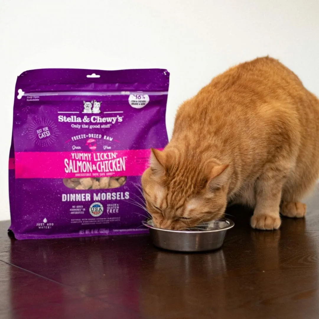 Stella & Chewy's Yummy Lickin' Salmon & Chicken Dinner Freeze-Dried Cat Food