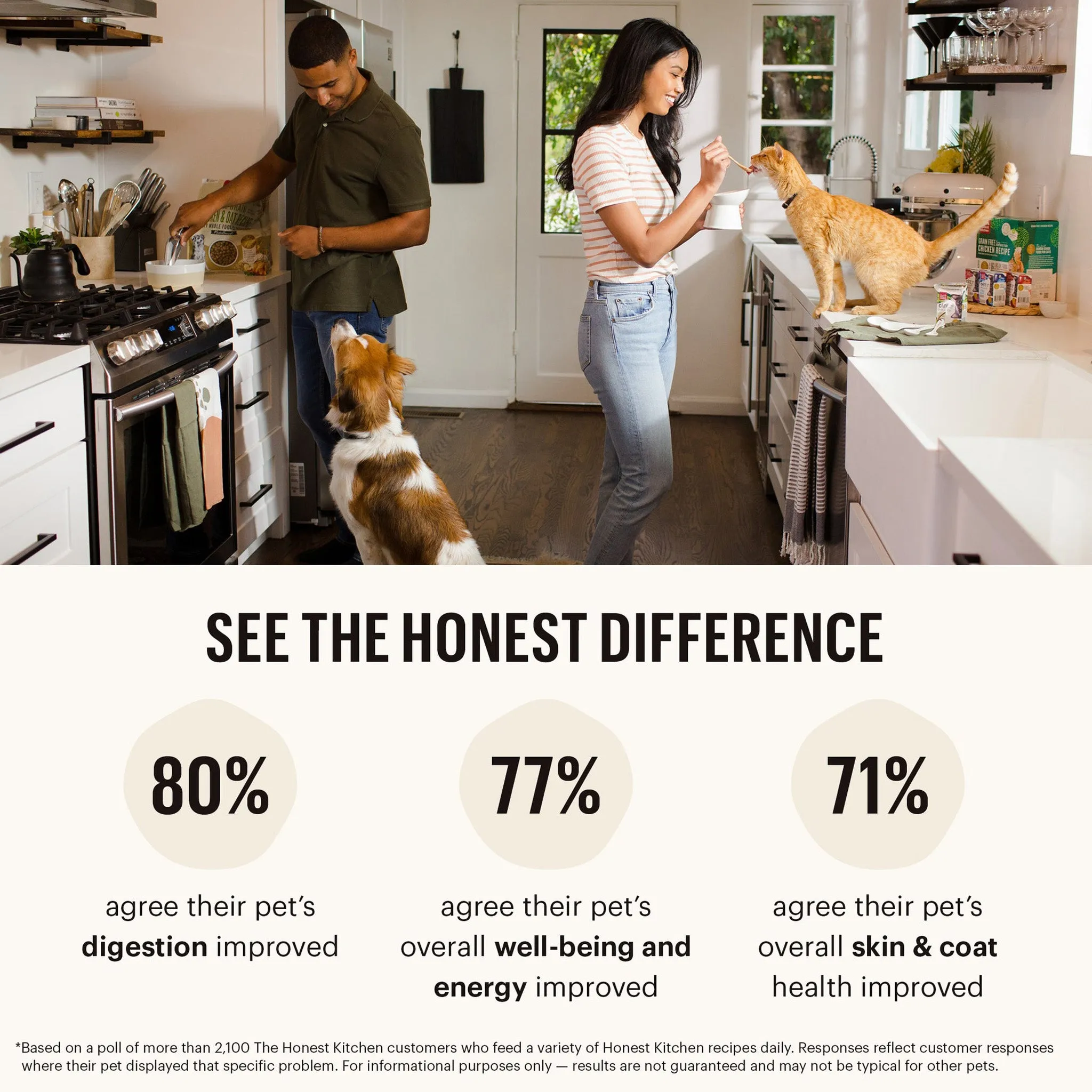 The Honest Kitchen Grain Free Dehydrated Cat Food