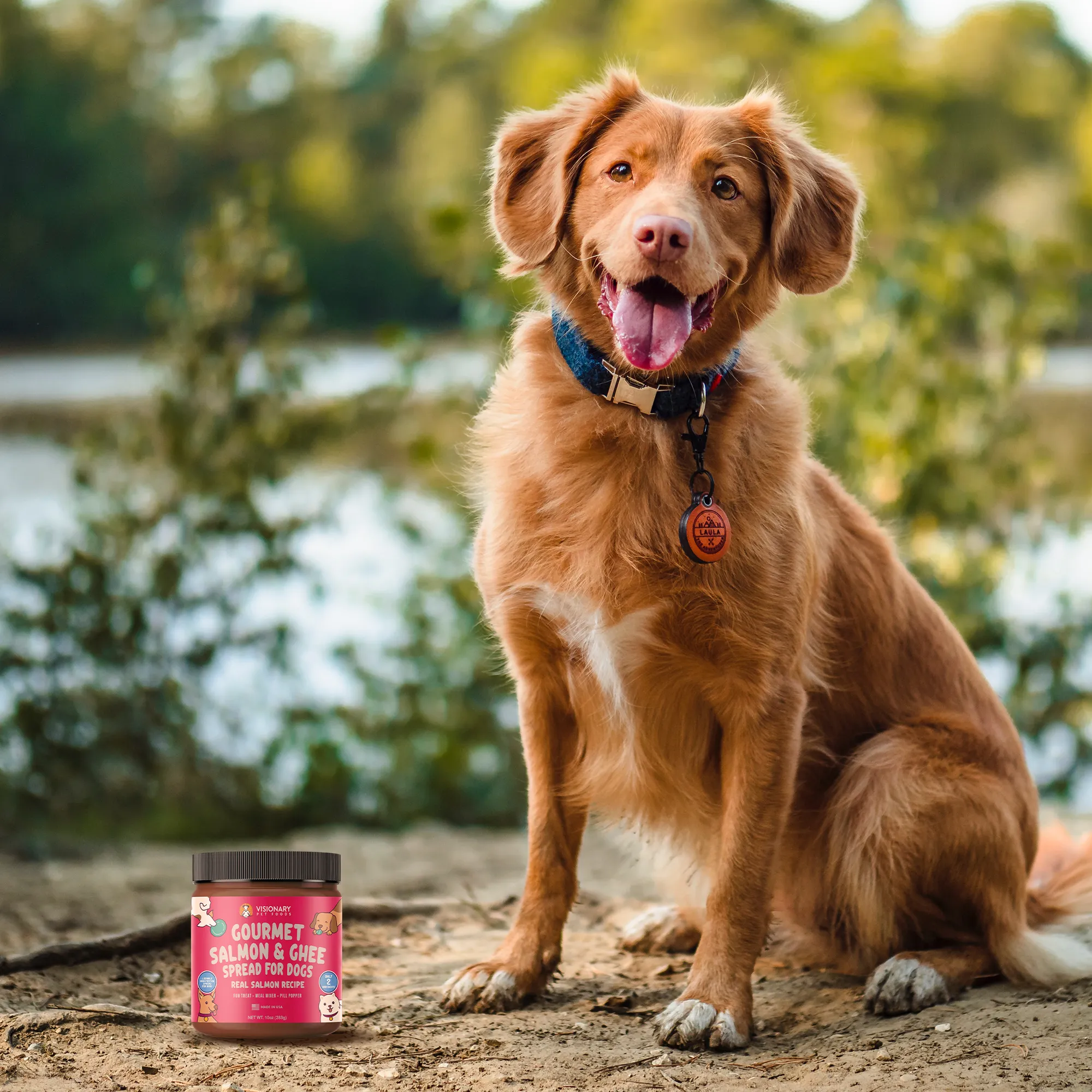 Visionary Pet Foods - Salmon Meat Spread for Dogs | Healthier Choice to Peanut Butter | 10oz Jar