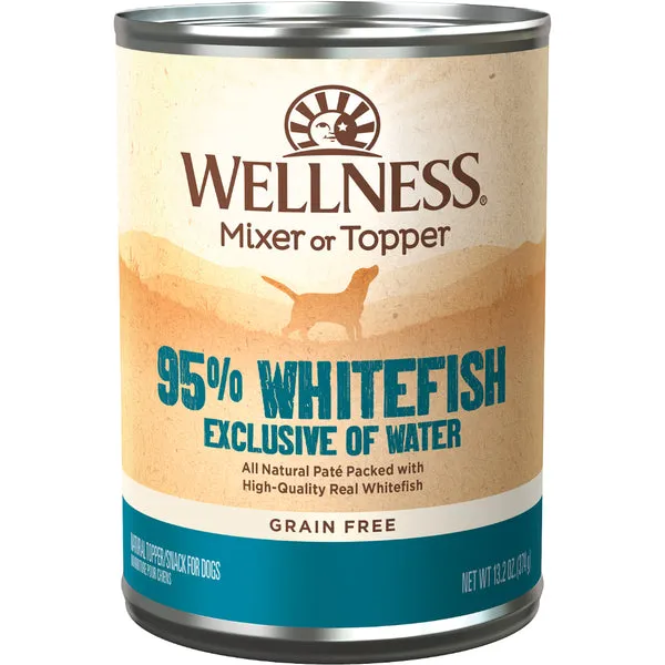 Wellness Ninety-Five Percent Mixer or Topper Salmon